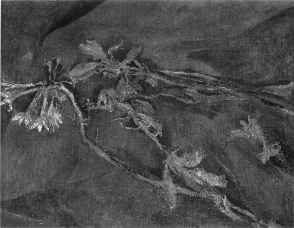 Fiori secchi